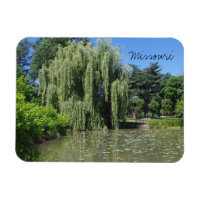Willow pleuvoir du Missouri sur l'étang