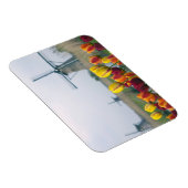 Magnet Flexible Windmills et tulipes le long du canal à (Côté Droit)