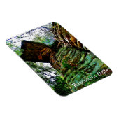 Magnet Flexible Wisconsin Dells (Côté Droit)