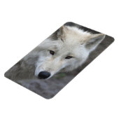 Magnet Flexible Wolf 001 (Côté Gauche)
