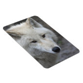 Magnet Flexible Wolf 001 (Côté Droit)