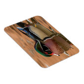 Magnet Flexible Wood Duck Swimming (Côté Droit)