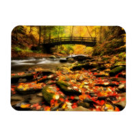 Wooden Bridge and Creek