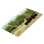Magnet Flexible Wyoming Bison Nature Animal Photographie (Côté Gauche)