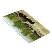 Magnet Flexible Wyoming Bison Nature Animal Photographie (Côté Droit)
