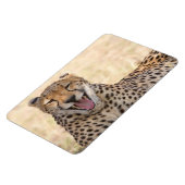 Magnet Flexible Yawning Cheetah (Côté Gauche)