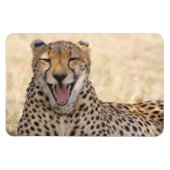 Magnet Flexible Yawning Cheetah (Horizontal)