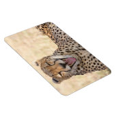 Magnet Flexible Yawning Cheetah (Côté Droit)