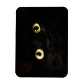 Magnet Flexible Yellow Cat Eyes, Chat noir, Arrière - plan noir (Vertical)