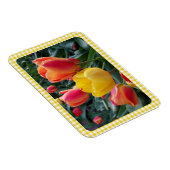 Magnet Flexible Yellow Gingham Plaid Tulips Garden Photo (Côté Droit)