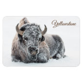 Magnet Flexible Yellowstone Magnet-Buffalo (Horizontal)