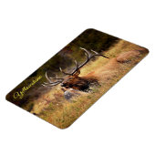 Magnet Flexible Yellowstone Magnet-Elk (Côté Gauche)