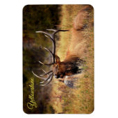 Magnet Flexible Yellowstone Magnet-Elk (Vertical)