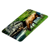 Magnet Flexible Yellowstone Magnet-Elk (Côté Gauche)