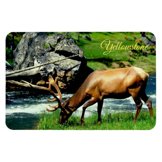 Magnet Flexible Yellowstone Magnet-Elk (Horizontal)