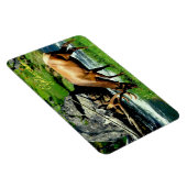 Magnet Flexible Yellowstone Magnet-Elk (Côté Droit)