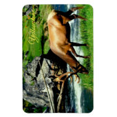 Magnet Flexible Yellowstone Magnet-Elk (Vertical)