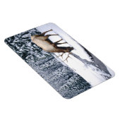 Magnet Flexible Yellowstone Magnet-Elk (Côté Droit)