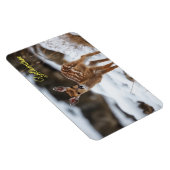 Magnet Flexible Yellowstone Magnet-Fawn Deer (Côté Droit)
