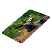 Magnet Flexible Yellowstone Magnet-Moose (Côté Gauche)