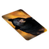 Magnet Flexible Yellowstone Magnet-Ours noir (Côté Droit)