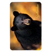 Magnet Flexible Yellowstone Magnet-Ours noir (Vertical)