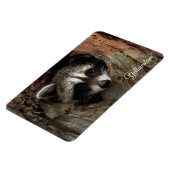 Magnet Flexible Yellowstone Magnet-Raccoon (Côté Gauche)