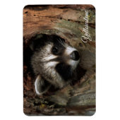Magnet Flexible Yellowstone Magnet-Raccoon (Vertical)