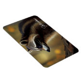Magnet Flexible Yellowstone Magnet-Raccoon (Côté Droit)