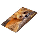 Magnet Flexible Yellowstone Magnet-Red Fox (Côté Gauche)