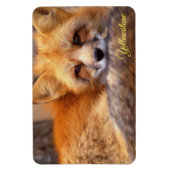Magnet Flexible Yellowstone Magnet-Red Fox (Vertical)