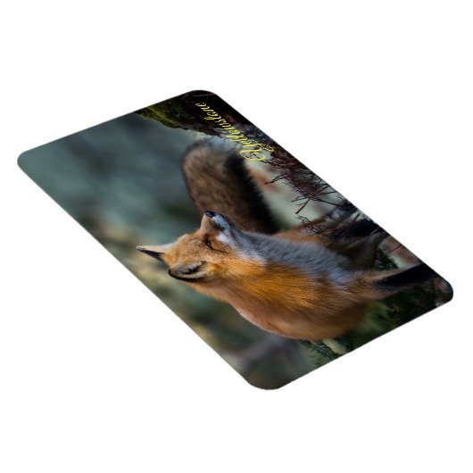 Magnet Flexible Yellowstone Magnet-Red Fox (Côté Droit)
