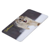 Magnet Flexible Yellowstone Magnet-Wolf (Côté Gauche)