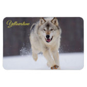Magnet Flexible Yellowstone Magnet-Wolf (Horizontal)