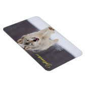Magnet Flexible Yellowstone Magnet-Wolf (Côté Droit)