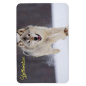Magnet Flexible Yellowstone Magnet-Wolf (Vertical)