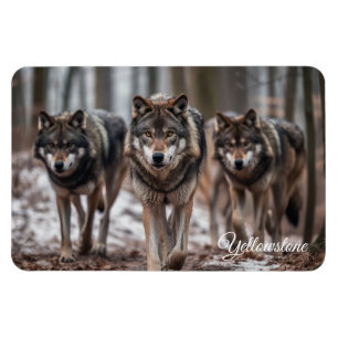 Magnet Flexible Yellowstone Magnet-Wolves