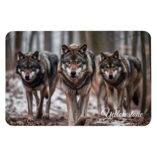 Magnet Flexible Yellowstone Magnet-Wolves (Horizontal)