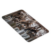 Magnet Flexible Yellowstone Magnet-Wolves (Côté Droit)