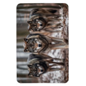 Magnet Flexible Yellowstone Magnet-Wolves (Vertical)