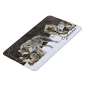 Magnet Flexible Yellowstone Magnet-Wolves (Côté Gauche)