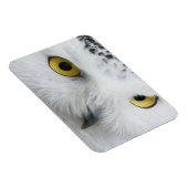 Magnet Flexible Yeux de Chouette des neiges (Côté Droit)