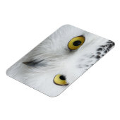 Magnet Flexible Yeux de Chouette des neiges (Côté Gauche)