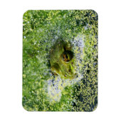 Magnet Flexible Yeux de grenouille dans un étang (Vertical)