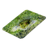 Magnet Flexible Yeux de grenouille dans un étang (Côté Gauche)