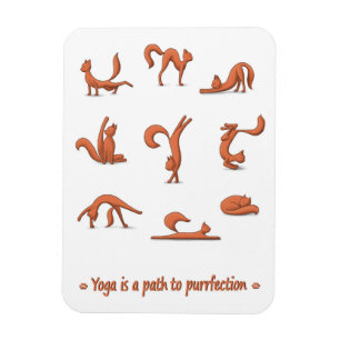 Magnet Flexible Yoga de chat
