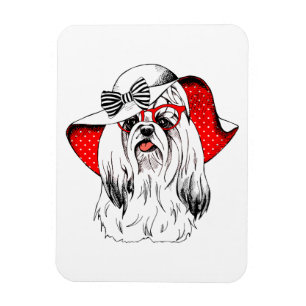 Magnet Flexible Yorkie Fashion Shoot