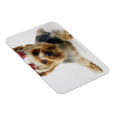 Magnet Flexible Yorkshire terrier portant des arcs rouges (Côté Droit)