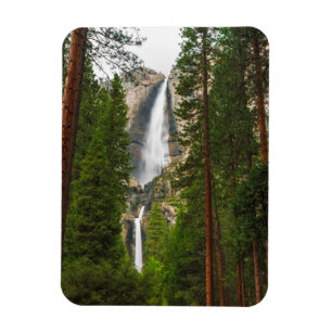 Magnet Flexible Yosemite Falls à travers la forêt