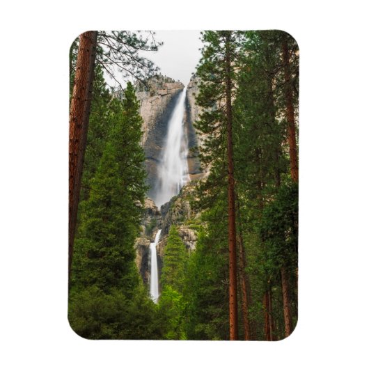 Magnet Flexible Yosemite Falls à travers la forêt (Vertical)